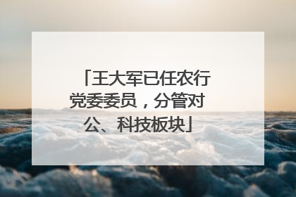 王大军已任农行党委委员，分管对公、科技板块