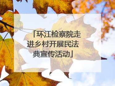 环江检察院走进乡村开展民法典宣传活动