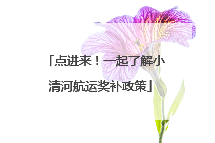 点进来！一起了解小清河航运奖补政策