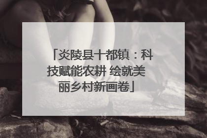 炎陵县十都镇：科技赋能农耕 绘就美丽乡村新画卷