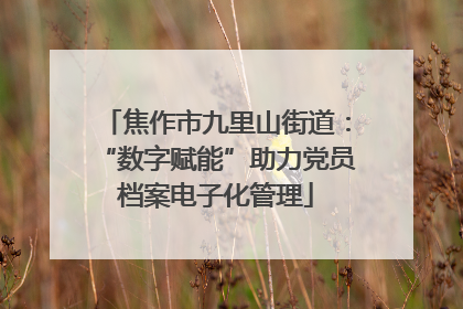 焦作市九里山街道：“数字赋能”助力党员档案电子化管理