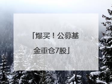 爆买！公募基金重仓7股