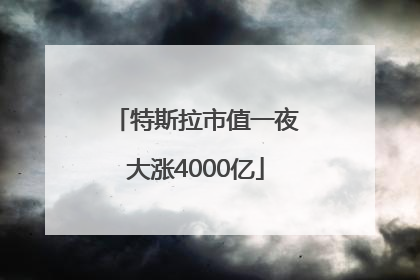 特斯拉市值一夜大涨4000亿