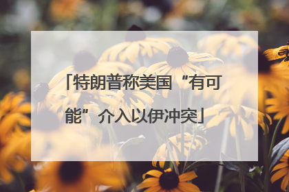 特朗普称美国“有可能”介入以伊冲突
