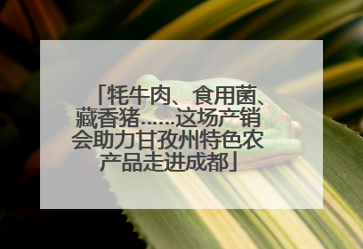 牦牛肉、食用菌、藏香猪……这场产销会助力甘孜州特色农产品走进成都