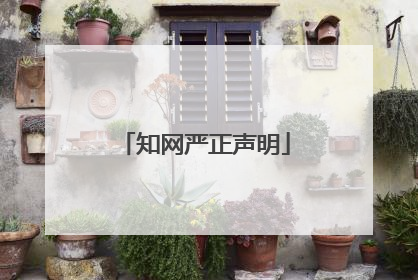 知网严正声明