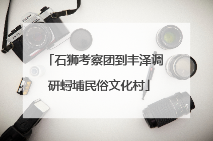 石狮考察团到丰泽调研蟳埔民俗文化村