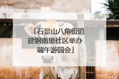 石景山八角街道建钢南里社区举办端午游园会
