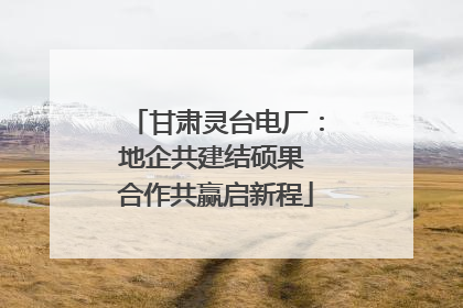 甘肃灵台电厂：地企共建结硕果 合作共赢启新程