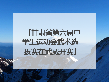 甘肃省第六届中学生运动会武术选拔赛在武威开赛