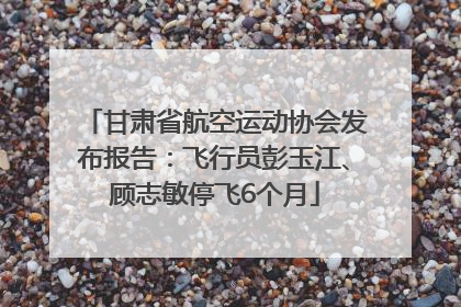 甘肃省航空运动协会发布报告：飞行员彭玉江、顾志敏停飞6个月