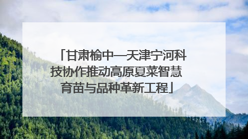 甘肃榆中—天津宁河科技协作推动高原夏菜智慧育苗与品种革新工程