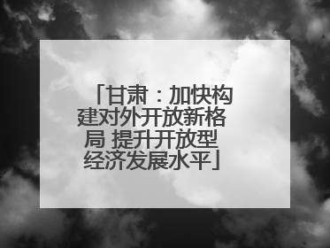 甘肃：加快构建对外开放新格局 提升开放型经济发展水平