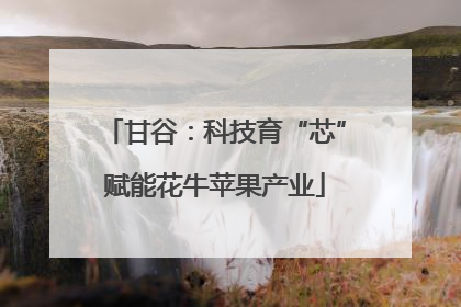 甘谷：科技育“芯”赋能花牛苹果产业