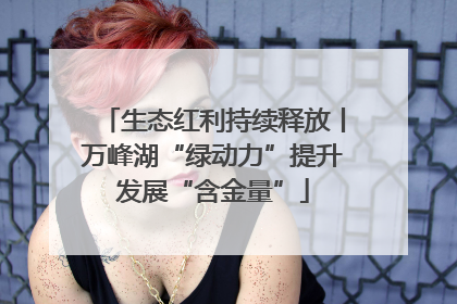 生态红利持续释放丨万峰湖“绿动力”提升发展“含金量”
