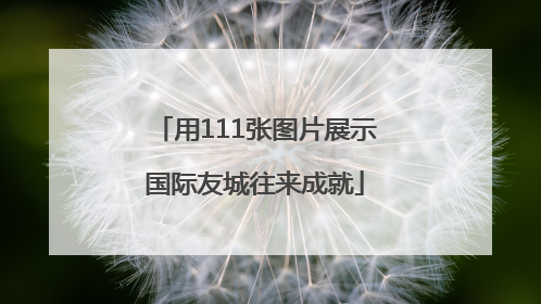 用111张图片展示国际友城往来成就