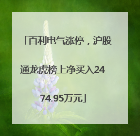 百利电气涨停，沪股通龙虎榜上净买入2474.95万元