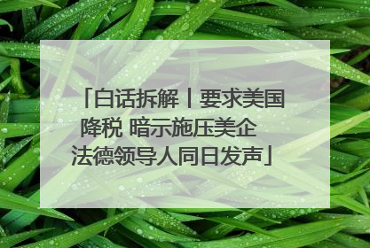 白话拆解丨要求美国降税 暗示施压美企 法德领导人同日发声