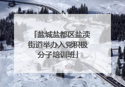 盐城盐都区盐渎街道举办入党积极分子培训班