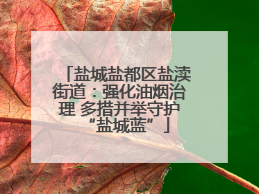 盐城盐都区盐渎街道：强化油烟治理 多措并举守护“盐城蓝”