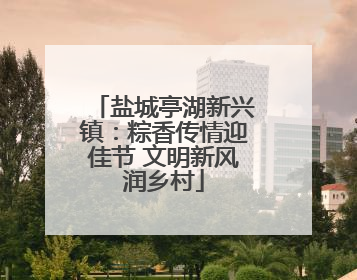 盐城亭湖新兴镇：粽香传情迎佳节 文明新风润乡村