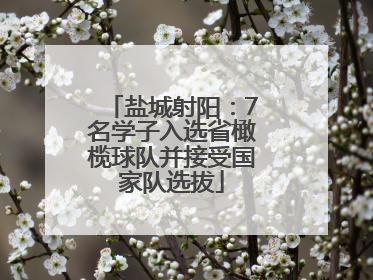 盐城射阳：7名学子入选省橄榄球队并接受国家队选拔