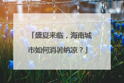 盛夏来临，海南城市如何消暑纳凉？