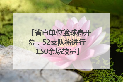 省直单位篮球赛开幕，52支队将进行150余场较量