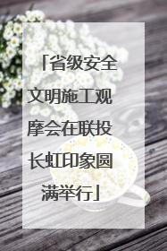 省级安全文明施工观摩会在联投长虹印象圆满举行