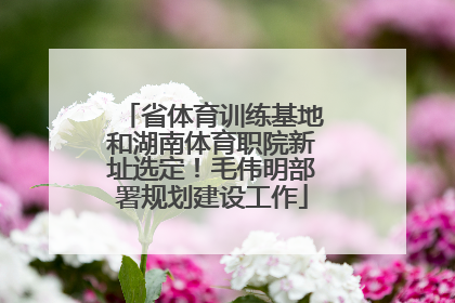 省体育训练基地和湖南体育职院新址选定！毛伟明部署规划建设工作