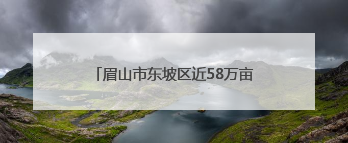 眉山市东坡区近58万亩水稻栽插面积超85%