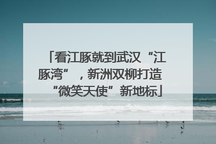 看江豚就到武汉“江豚湾”，新洲双柳打造“微笑天使”新地标