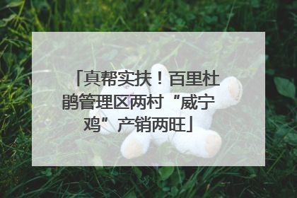 真帮实扶！百里杜鹃管理区两村“威宁鸡”产销两旺