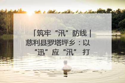 筑牢“汛”防线｜慈利县罗塔坪乡：以“迅”应“汛” 打赢暴雨防御战