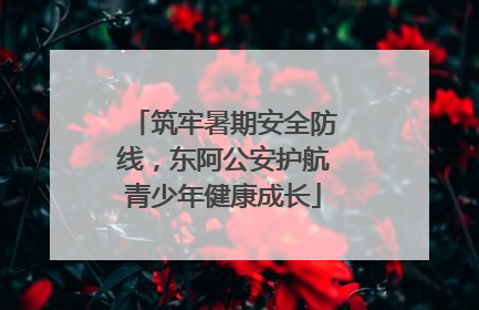 筑牢暑期安全防线，东阿公安护航青少年健康成长