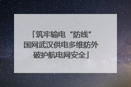 筑牢输电“防线” 国网武汉供电多维防外破护航电网安全