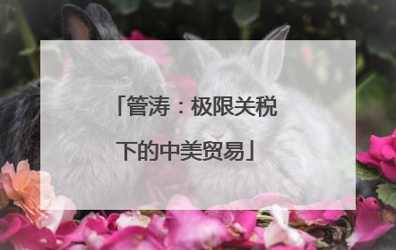 管涛：极限关税下的中美贸易