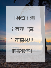神奇！海宁有座“藏”在森林里的实验室