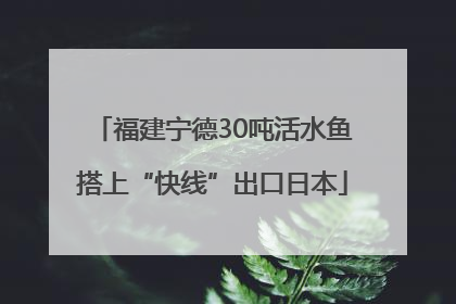 福建宁德30吨活水鱼搭上“快线”出口日本