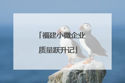 福建小微企业质量跃升记