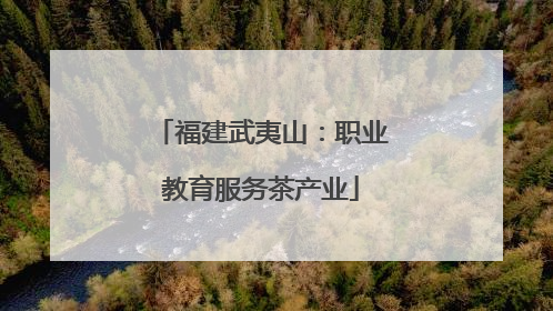 福建武夷山：职业教育服务茶产业