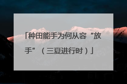 种田能手为何从容“放手”（三夏进行时）