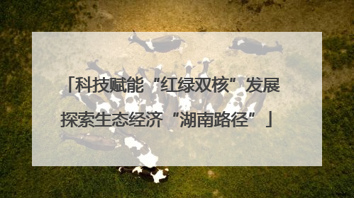 科技赋能“红绿双核”发展 探索生态经济“湖南路径”