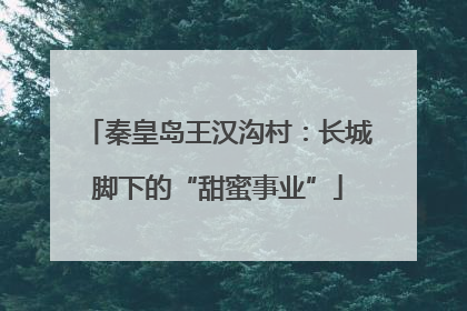 秦皇岛王汉沟村：长城脚下的“甜蜜事业”