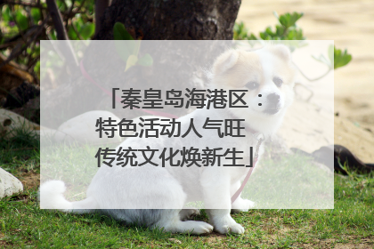 秦皇岛海港区：特色活动人气旺 传统文化焕新生