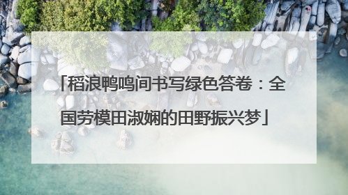 稻浪鸭鸣间书写绿色答卷：全国劳模田淑娴的田野振兴梦