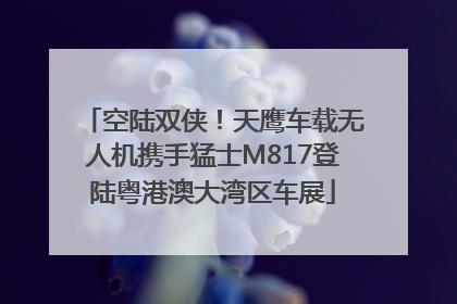 空陆双侠!天鹰车载无人机携手猛士M817登陆粤港澳大湾区车展