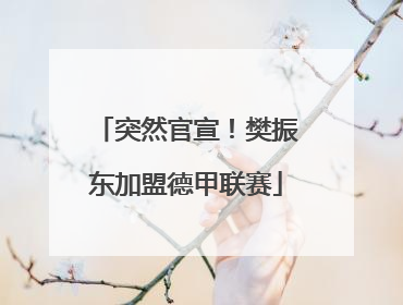 突然官宣！樊振东加盟德甲联赛