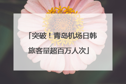 突破！青岛机场日韩旅客量超百万人次