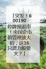 突发！600190停牌预退市！央国企市值管理放大招，这16只潜力股要火？